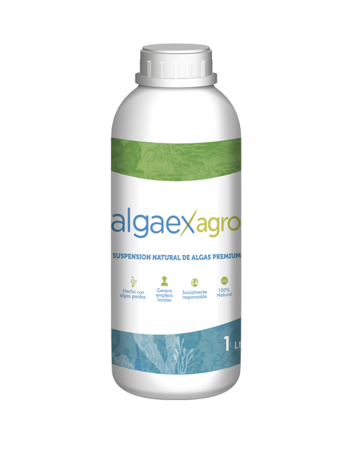 Algaex Agro Concentrated Liquid Seaweed Extract a base de algas marinas  Premiu